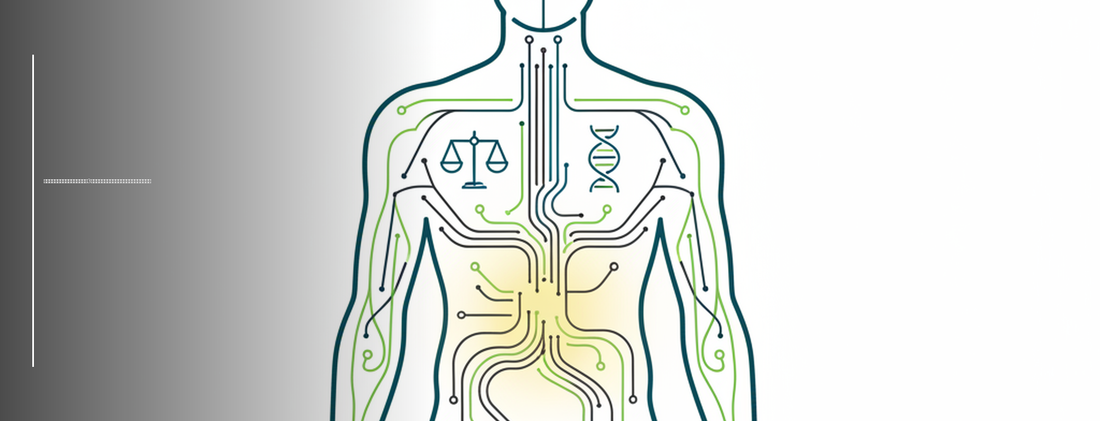 Medical line-art illustration showing metabolic health and body composition for low-carb diet analysis