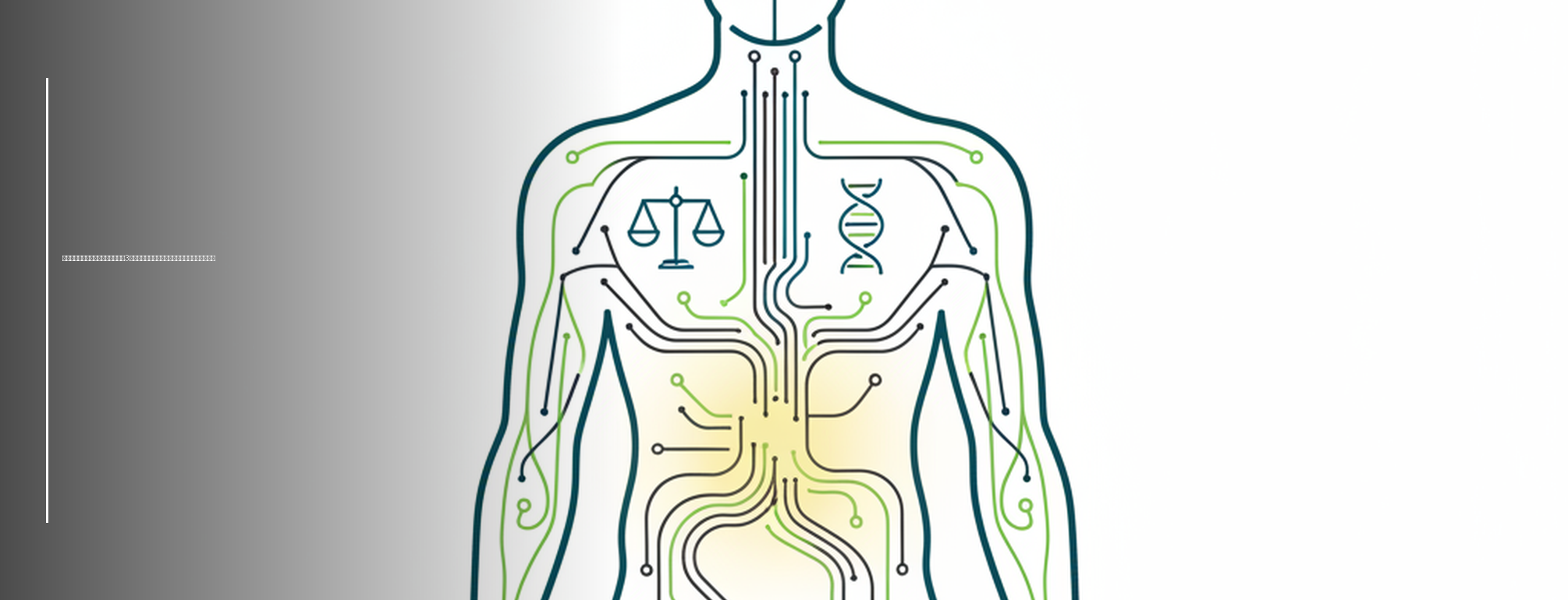 Medical line-art illustration showing metabolic health and body composition for low-carb diet analysis